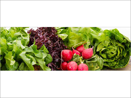 Leafy Green Vegetables