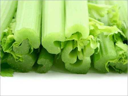 Juicing Vegetables - 15-25 cm, 2-4 cm Diameter, Green | High Fiber, Nutrient-Rich, Low Calorie, Versatile Use