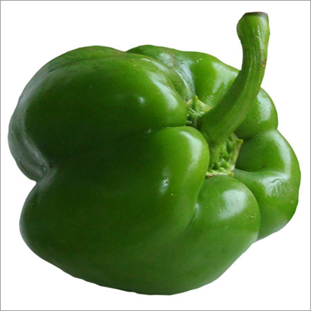 Green Pepper - Bell Shape 10cm 150g Green | Fresh Crisp Mild Taste Firm Texture Versatile Nutritious