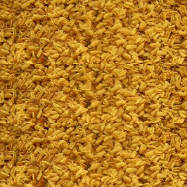 Cassiatora Seeds