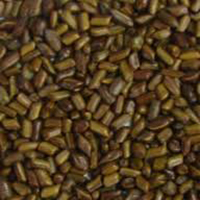 Cassiatora