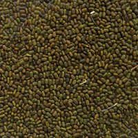 Black Sesbania Seeds