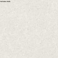 Vitrified floor Tiles