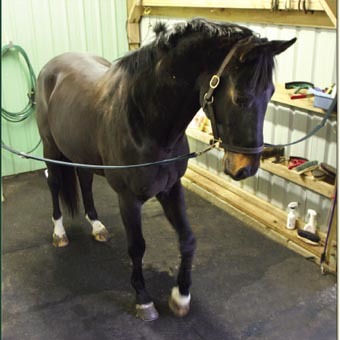Stable Horse Mats
