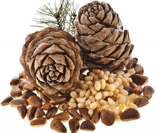 Organic Raw Pine Nuts