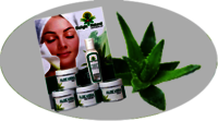 Aloe Vera Facial Kit - Green, 4 Plastic Jars | Enriched With Aloe Vera Extract For Hydration And Skin Nourishment