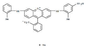 LETHER VIOLET R