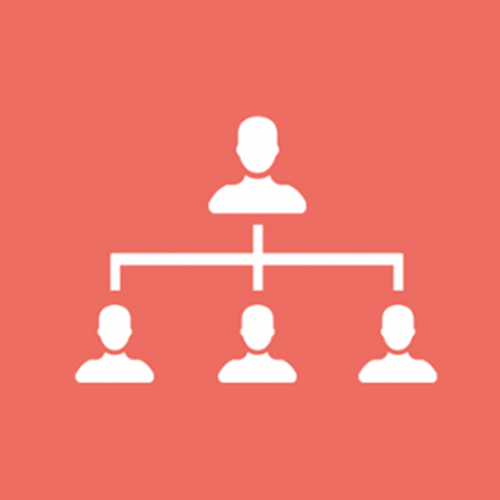 MLM Development Services