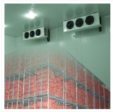 Specialised Onion Cold Store Specialised Onion Cold Store