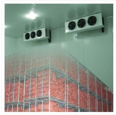 Cold Storage of Onion  Industrial Cold Room & Equipments