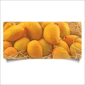 Frozen Mango Pulp