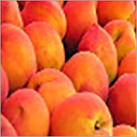 Frozen Peaches By PAL FROZEN FOODS