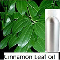 Cinnamon Leaf Oil