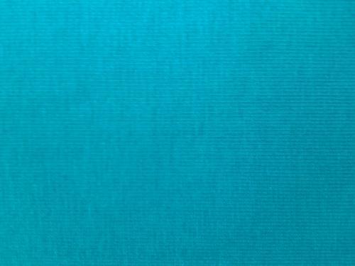 Cotton Interlock Fabric