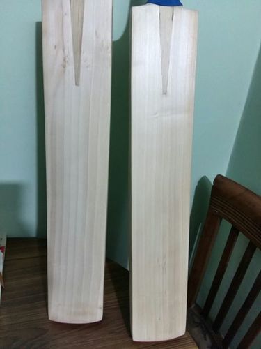 White English Willow Bat