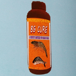 B.G CURE Black Gill Disease Protector