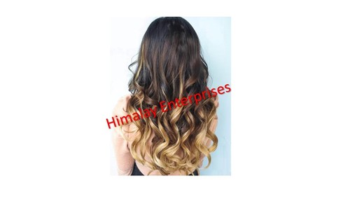 Remy Indian Virgin Hair