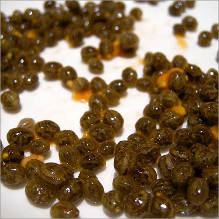 Papaya Seeds