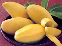 Fresh Mango (Ripe Mango)