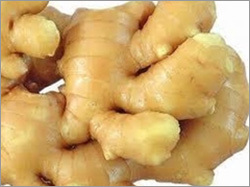 Fresh Ginger
