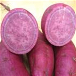Purple Sweet Potato