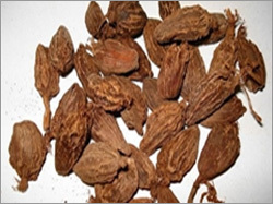 Black Cardamom