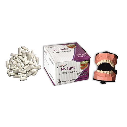 Typho Jaw Set - Ceramic, Varied Sizes, White | Precise Fit, Durable Material, Easy Application, Consistent Quality, Sterile, Box of 100pcs