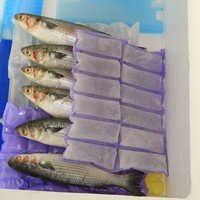 Cold Packs for Fish Industry