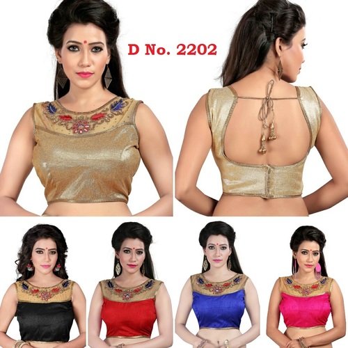 Pink. Blue Women Net Blouse