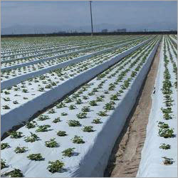 Mulching Films