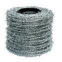 Barbed Wires
