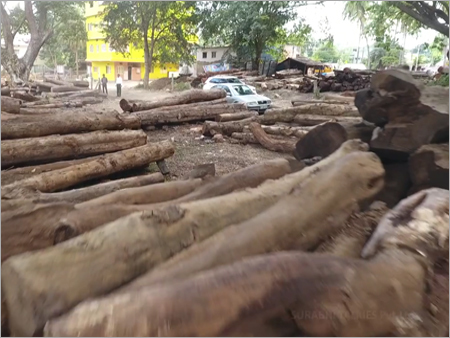 Teak Wood