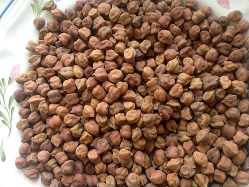 Kabuli Chana