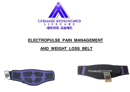 Electropulses Fat Loss  Belt