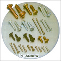 Pt Screw