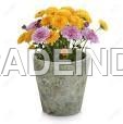 Beautiful Flower Pot