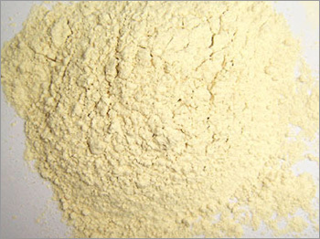 Garlic Powder