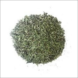 Dehydrated Mint Leaves