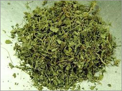 Dried Fenugreek Leaves (Kasturi Methi)