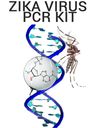 Zika Real Time RT-PCR Kit