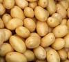 potatoes