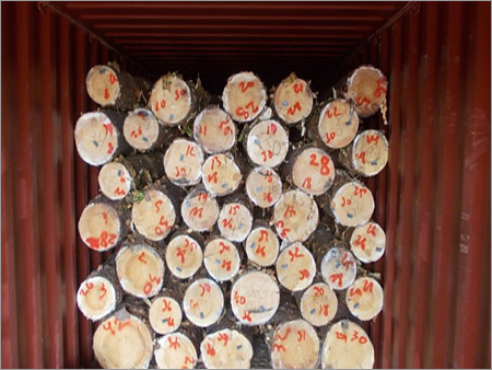 Ukraine Spruce Pine Wood