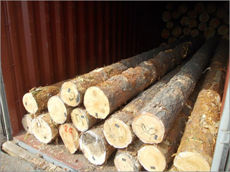 Pine Wood Logs