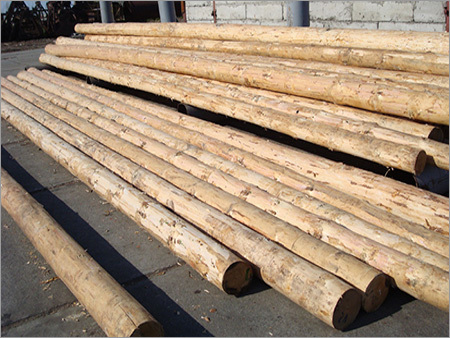 New Zealand Pine Wood