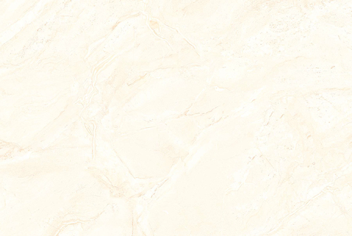Digital Printed Glossy Tile