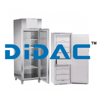 Upright Freezer By DIDAC INTERNATIONAL