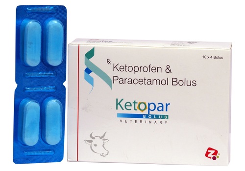 Ketoprofen Paracetamol Bolus