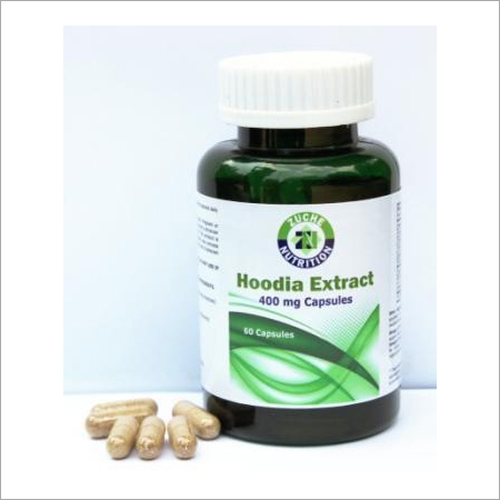 Hoodia Extract Capsules