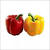 Red - Yellow Capsicum By MAKANDAR AGRO