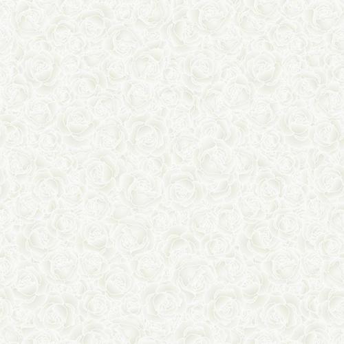 Designer Twin Charge Vitrified Tiles